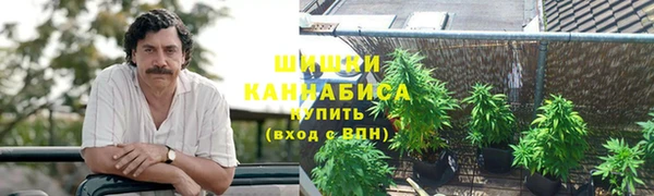 мяу мяу мука Алзамай