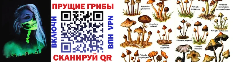 Псилоцибиновые грибы ЛСД  Купить закладки  Ардон 